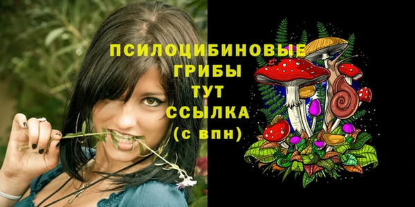кокс Абдулино